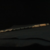 IMG_9003.JPG