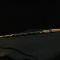 IMG_9006.JPG
