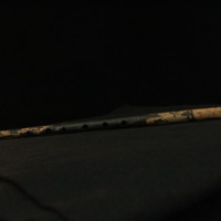 IMG_9007.JPG