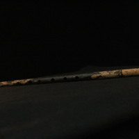 IMG_9008.JPG