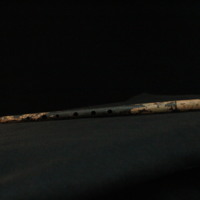 IMG_9009.JPG
