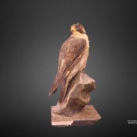 6205-thumbnail.jpg