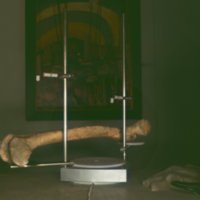 bone_T11.jpg