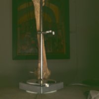 bone_T3.jpg