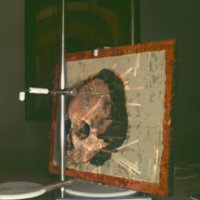 cranium_T11.jpg