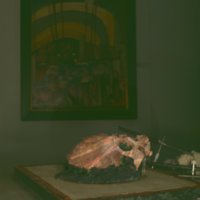 cranium_T2.jpg