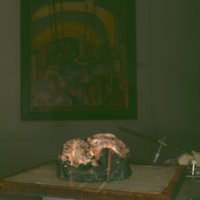 cranium_T5.jpg