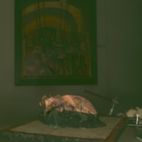 cranium_T7.jpg