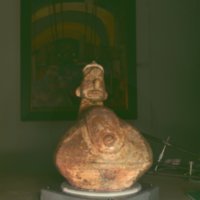 genie_T12.jpg