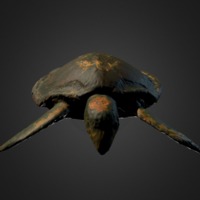 23-thumbnail.jpg
