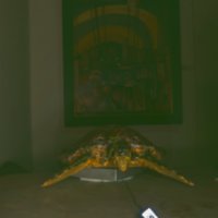 turtle_T12.jpg
