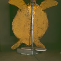 turtle_T7.jpg