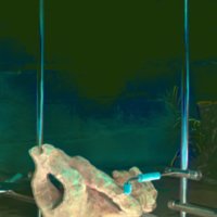 statue_T12.jpg