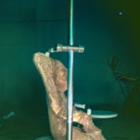 statue_T4.jpg