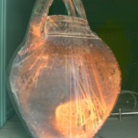 monkey_jar_T7.jpg