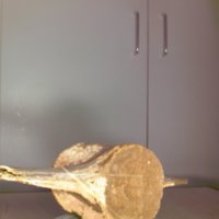 Bone_Cup_T10.jpg