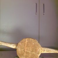 Bone_Cup_T11.jpg