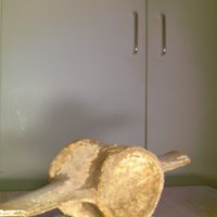 Bone_Cup_T14.jpg