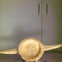 Bone_Cup_T15.jpg