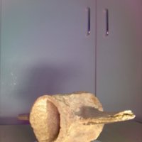 Bone_Cup_T8.jpg