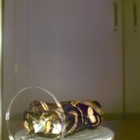 Doll_T10.jpg