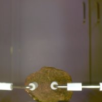 Bone_Bowl_T10.jpg