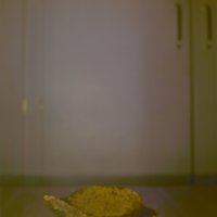 Bone_Bowl_T6.jpg