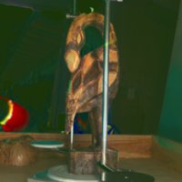 bird_T10.jpg