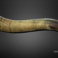 114-thumbnail.jpg