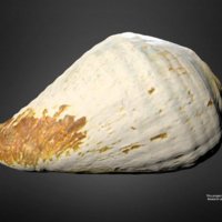 118-thumbnail.jpg