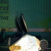 shell_caracol_T1.jpg
