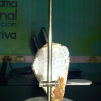 shell_caracol_T14.jpg
