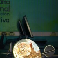 shell_caracol_T3.jpg