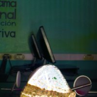 shell_caracol_T6.jpg