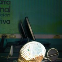 shell_caracol_T7.jpg