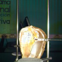 shell_caracol_T9.jpg