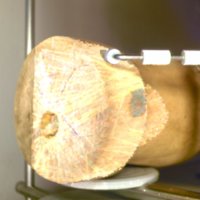 boruca_wooden_cup_T13.jpg