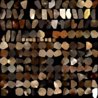 textured_material0050_map_Kd.png