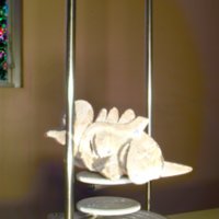 small_wooden_mask_T9.jpg