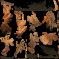 textured_material0001_map_Kd.png