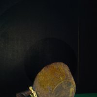Wooden_cup_T16.jpg