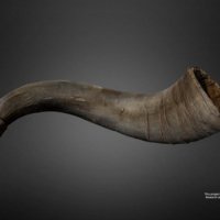 175-thumbnail.jpg
