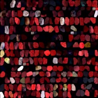 textured_material0016_map_Kd.png