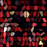 textured_material0017_map_Kd.png