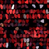 textured_material0020_map_Kd.png