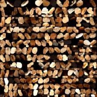 textured_material0002_map_Kd.png