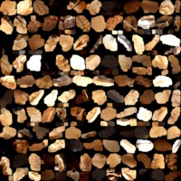 textured_material0004_map_Kd.png