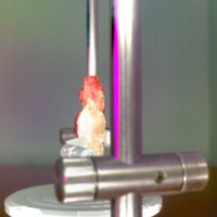 red_man_T1.jpg
