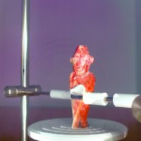 red_man_T4.jpg