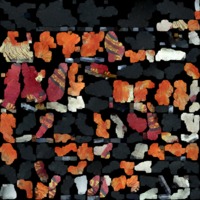 textured_material0002_map_Kd.png